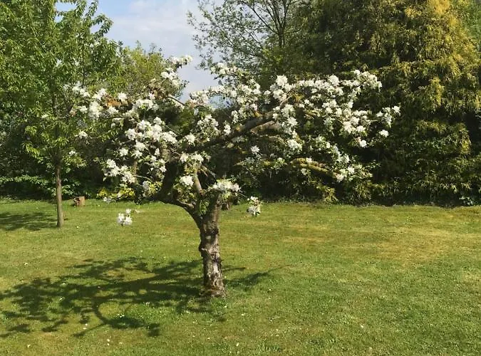 فندق Het Draakje