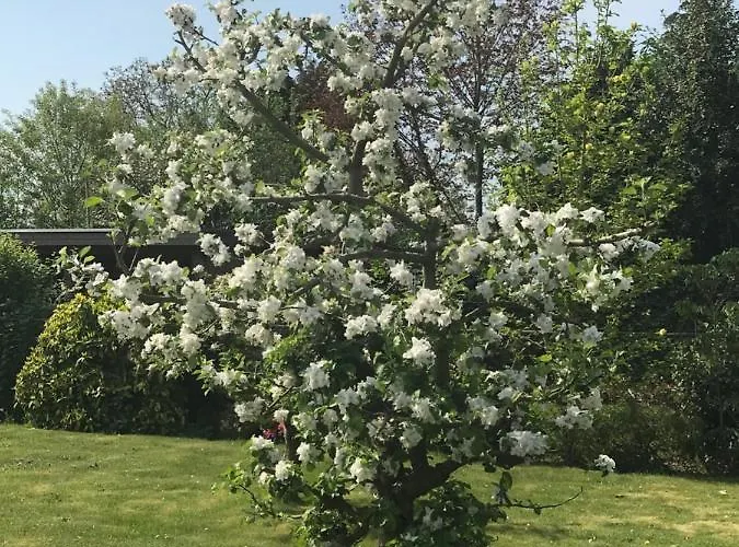 Отель Het Draakje *