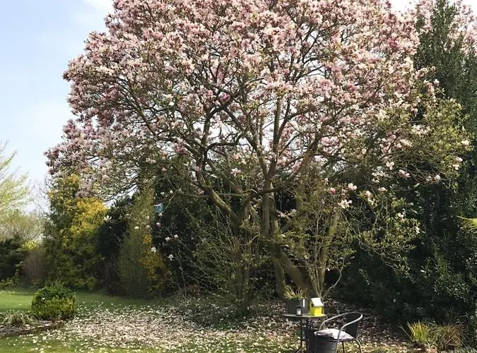 Het Draakje Отель Бесел